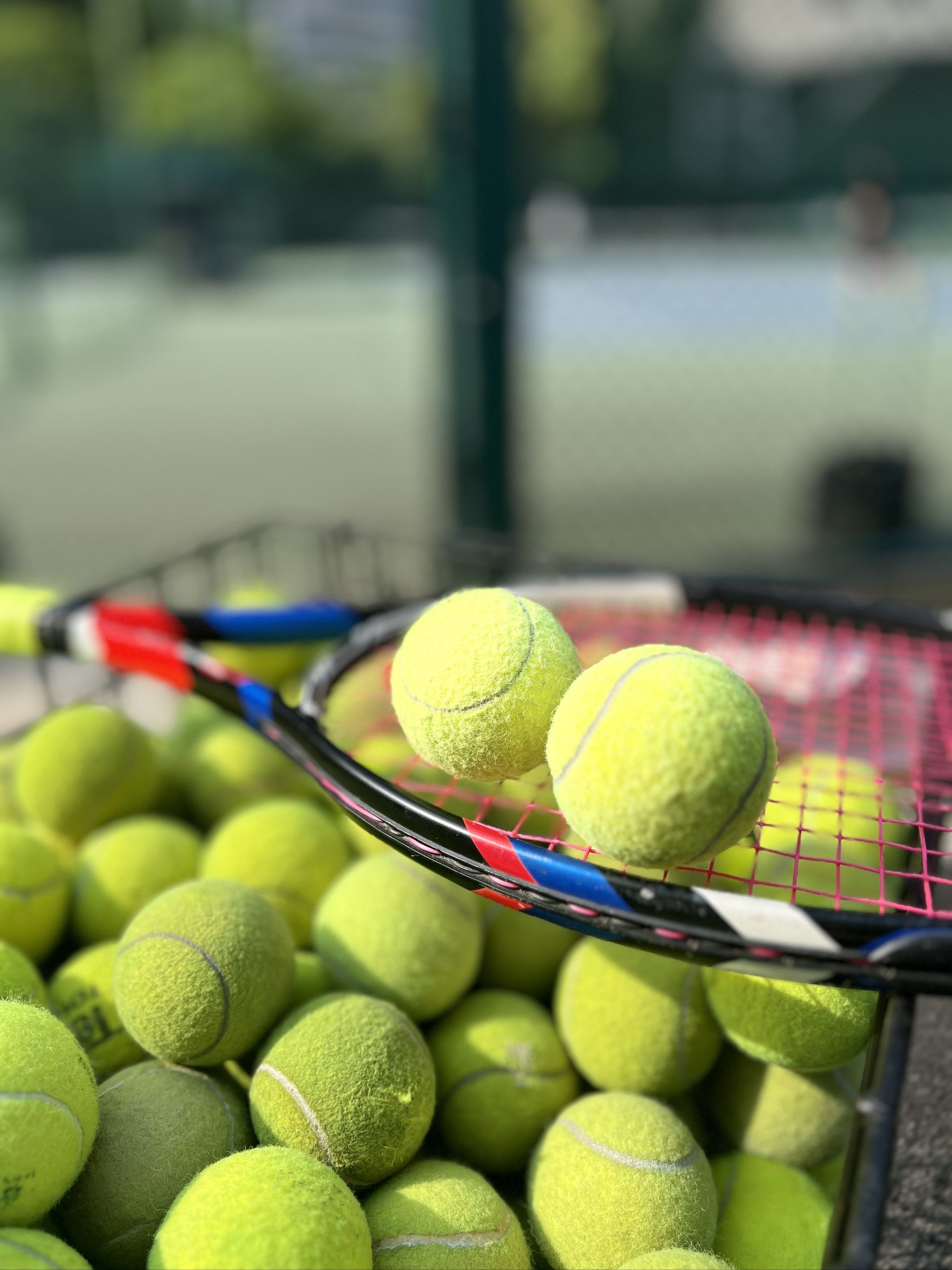 组之间的明 组之间的明