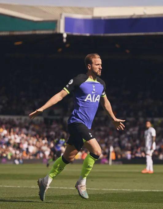 或许已经悄 或许已经悄